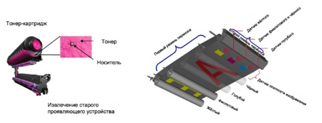 Sharp Polaris II MX-6580N. Постоянство цвета