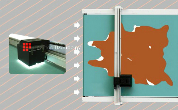 iECHO Leather Scan System