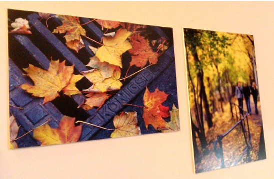 Xerox Premium NeverTear Labels. Художественная полиграфическая продукция