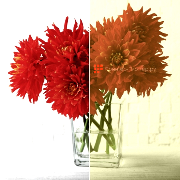 Acer T411D (S1286H). Acer ColorSafe II