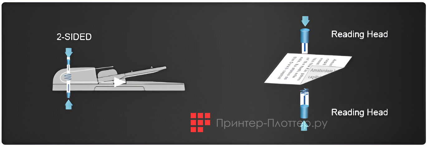 Avision AM7630i. Две считывающие головки