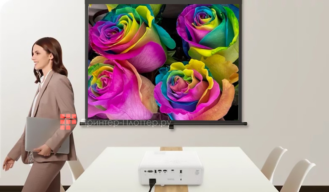 BenQ LH650. Технология DLP