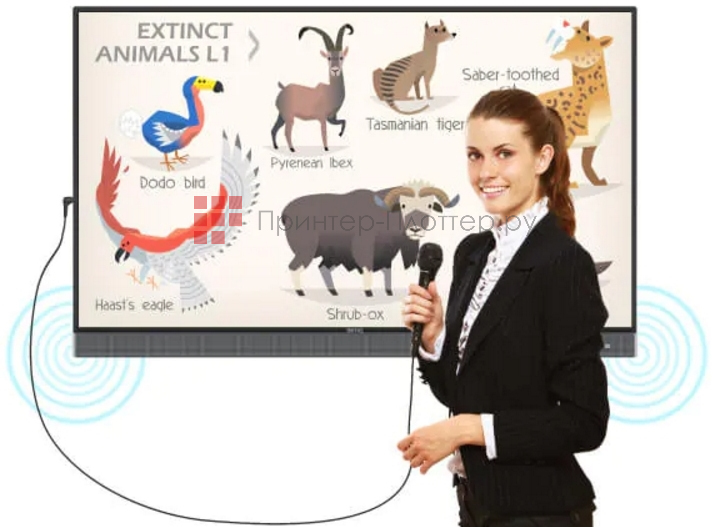 BenQ RM7502K. Голосовое управление интерактивной панелью