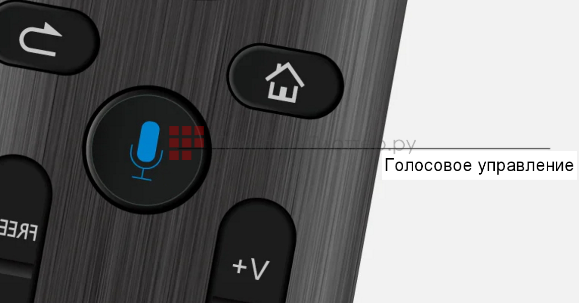 BenQ RP6502. Голосовое управление