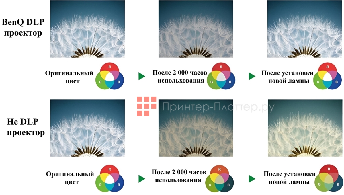 BenQ SH753P. Долговечный DLP