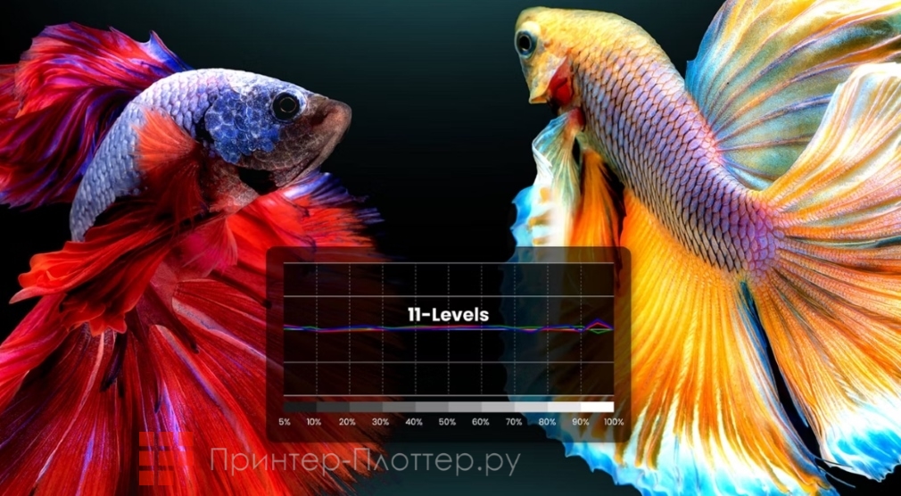 BenQ TK860i. Эксклюзивная настройка цветовой температуры<