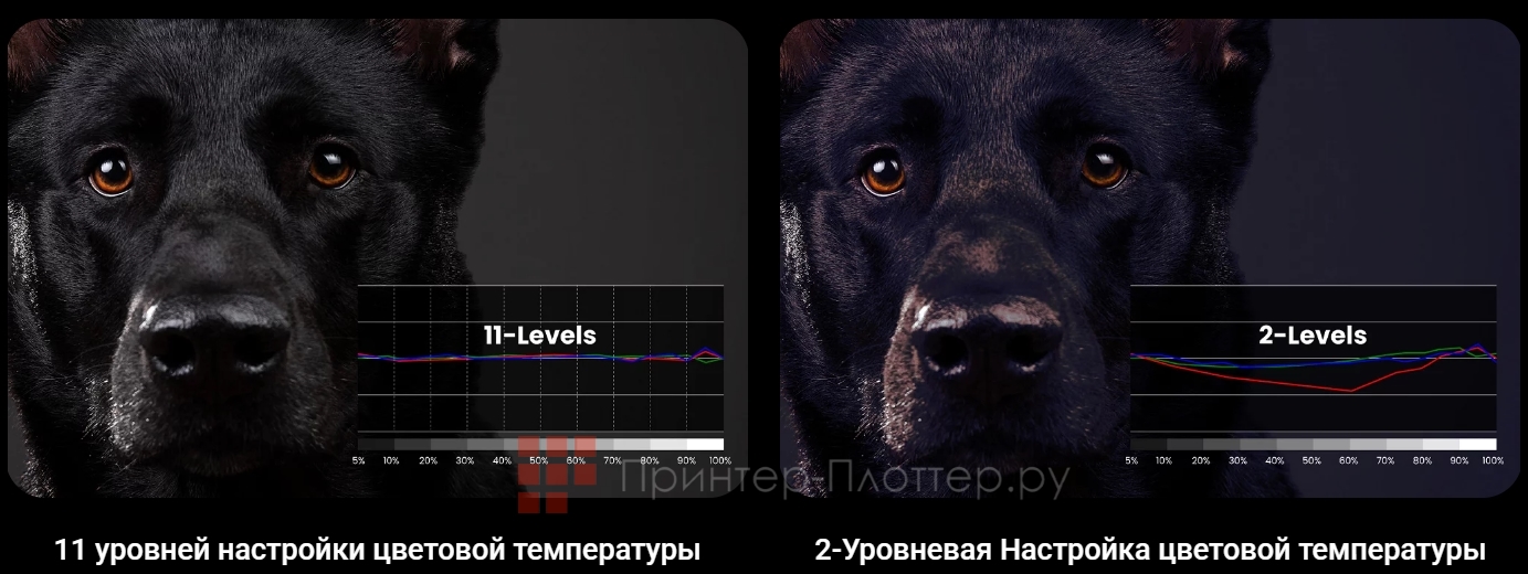 BenQ W4000i. Эксклюзивная настройка цветовой температуры