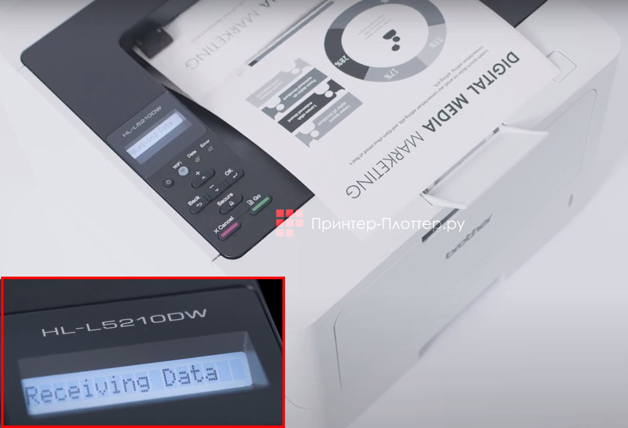 Brother HL-L5210DW. Панель управления