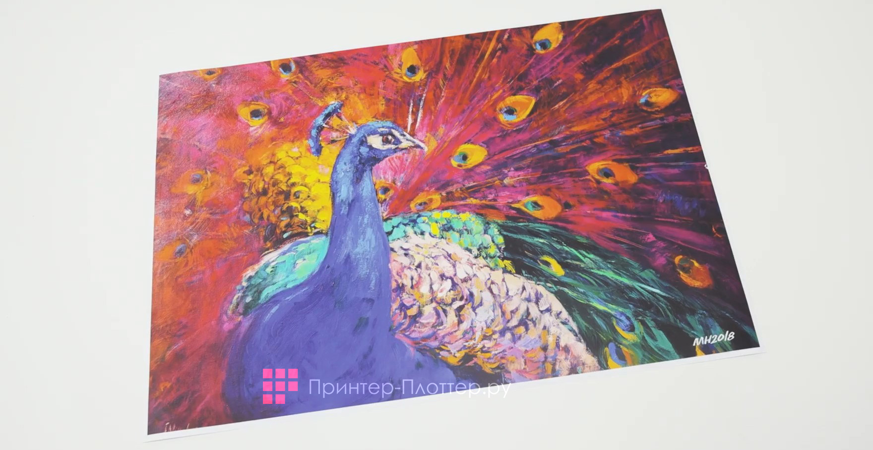 Canon ColorWave 3800 P6R MFP. Технология PAINT