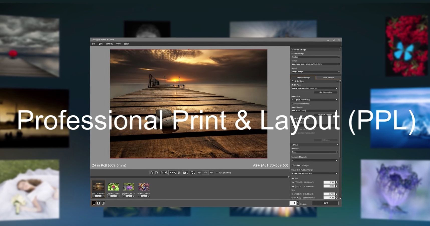 Canon imagePROGRAF GP-6600S. Professional Print and Layout