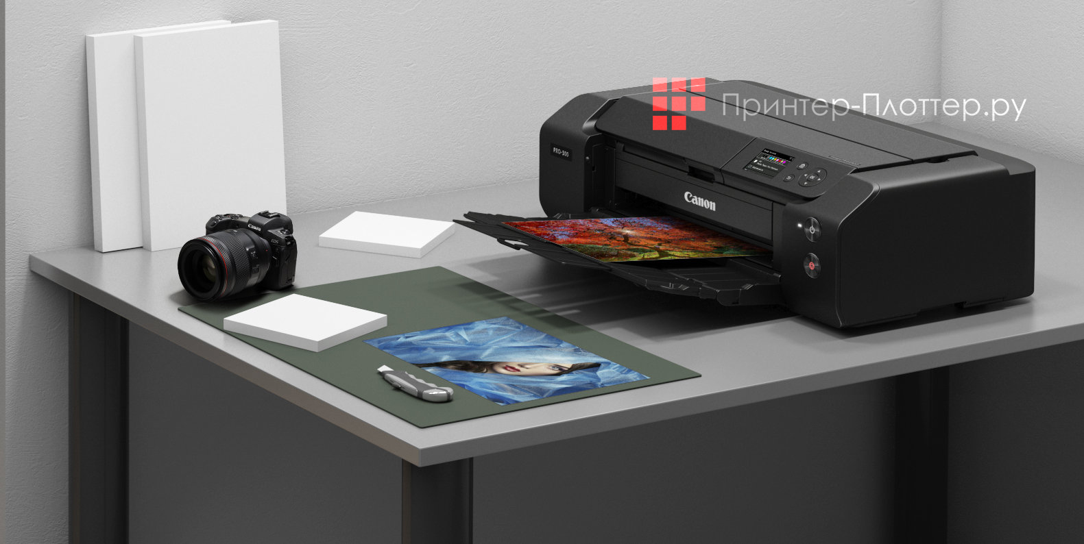 Canon imagePROGRAF PRO-300. Комплект поставки