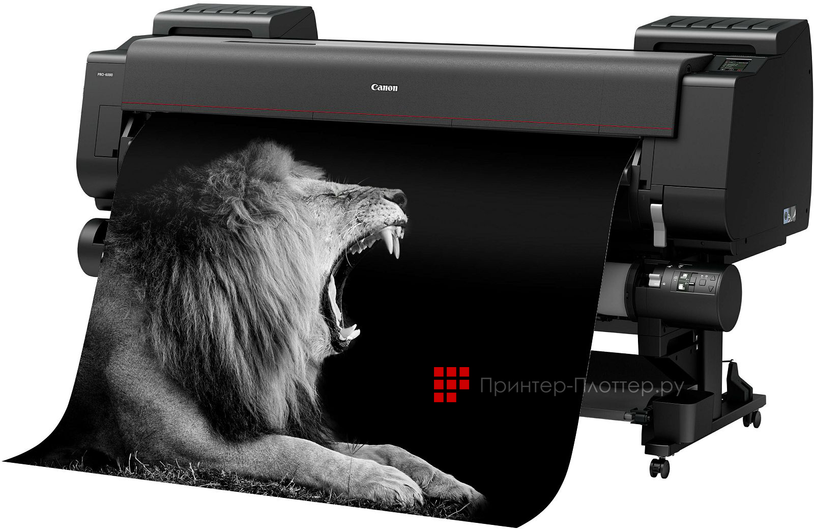 Canon imagePROGRAF iPF PRO-6000. Качество воспроизведения отпечатков