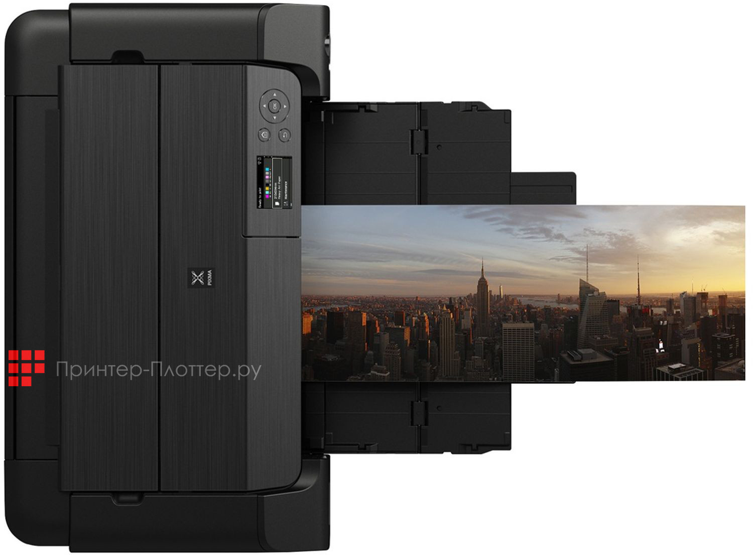 Canon PIXMA PRO-200S. Естественные цвета