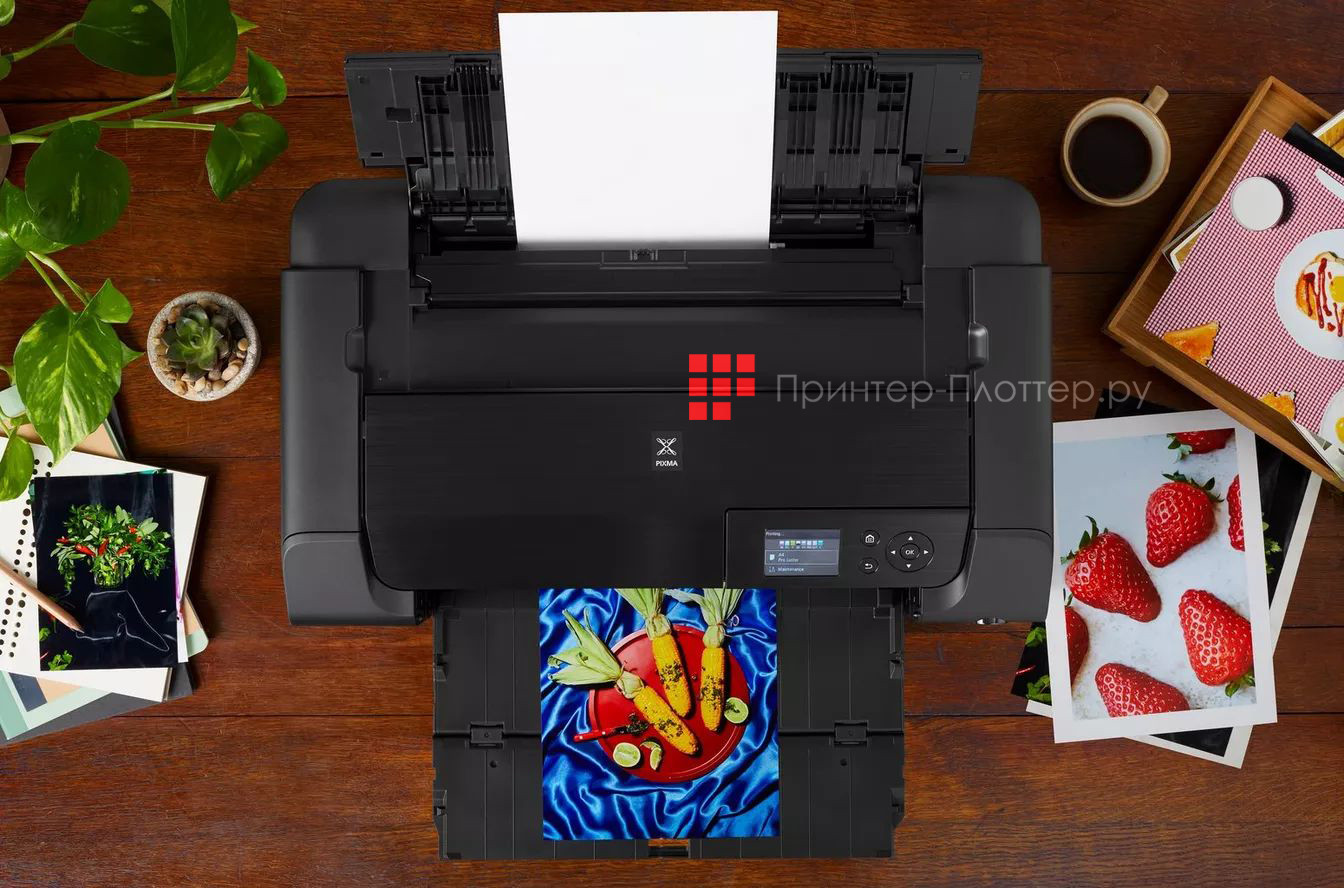 Canon PIXMA PRO-200S. Впечатляющие фотографии высокого качества