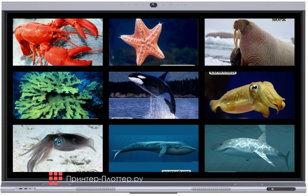 Classic Solution IFP-98AWM. Особенности