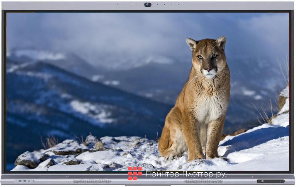 Classic Solution IFP-98AWM