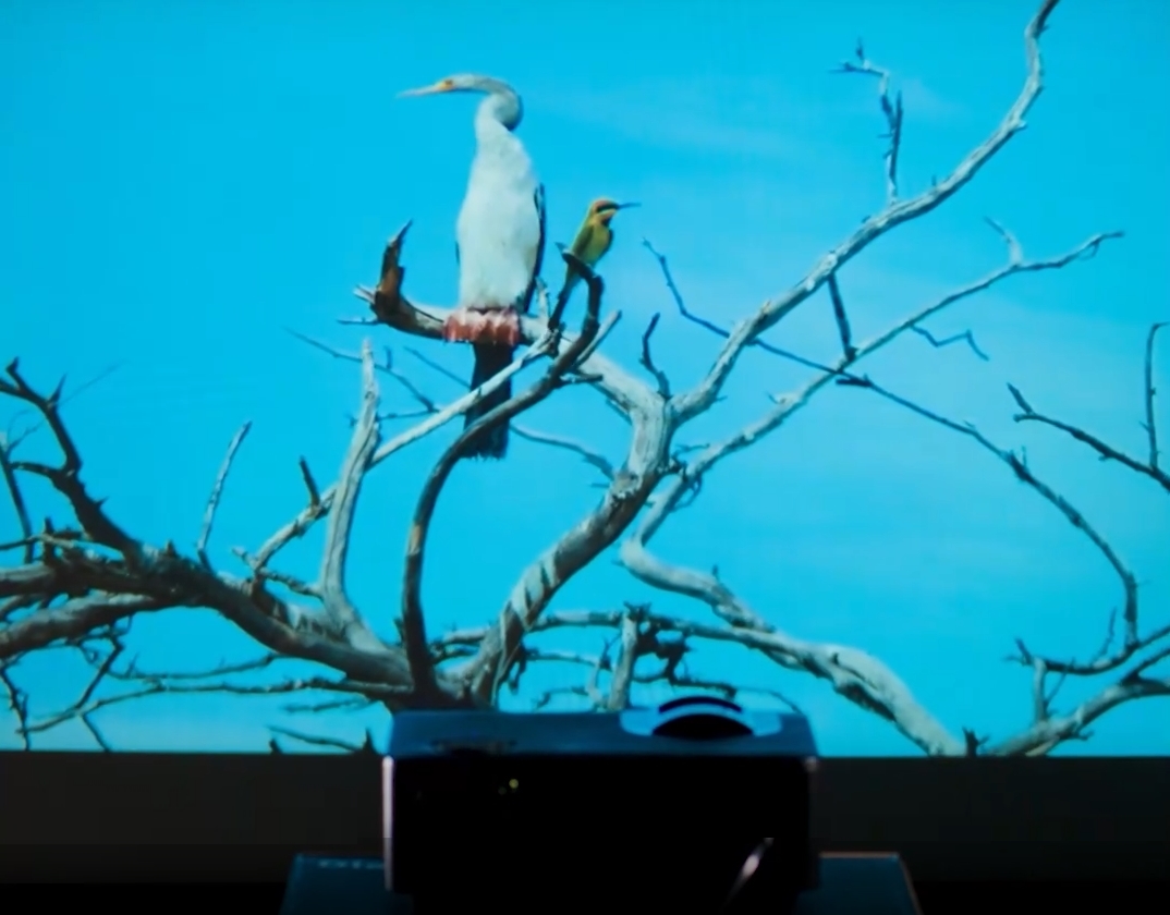 Diello DL-HTW5. Современная LCD матрица с технологией LTPS