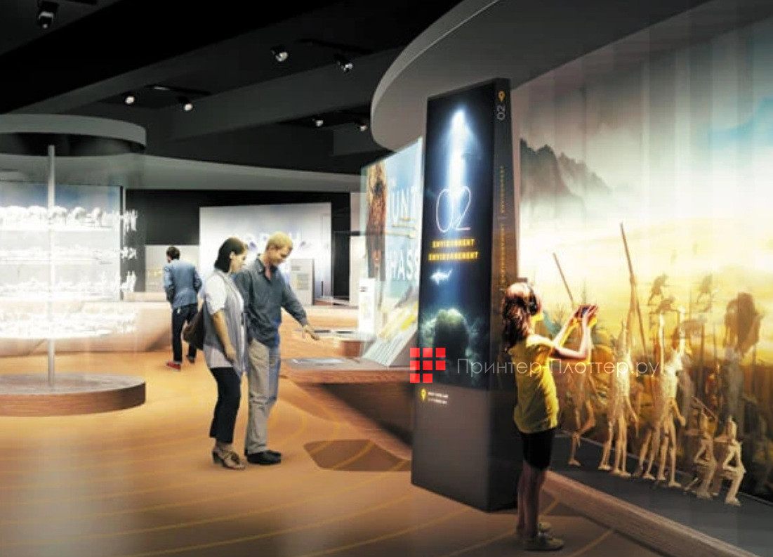 Diello DL-P550LU. Назначение