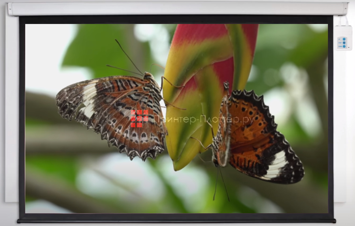 DIGIS DSEF-4302 Electra-F 4:3 86. Применение