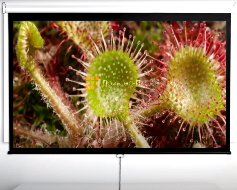 DIGIS DSOD-16908 Optimal-D 16:9 150. Применение