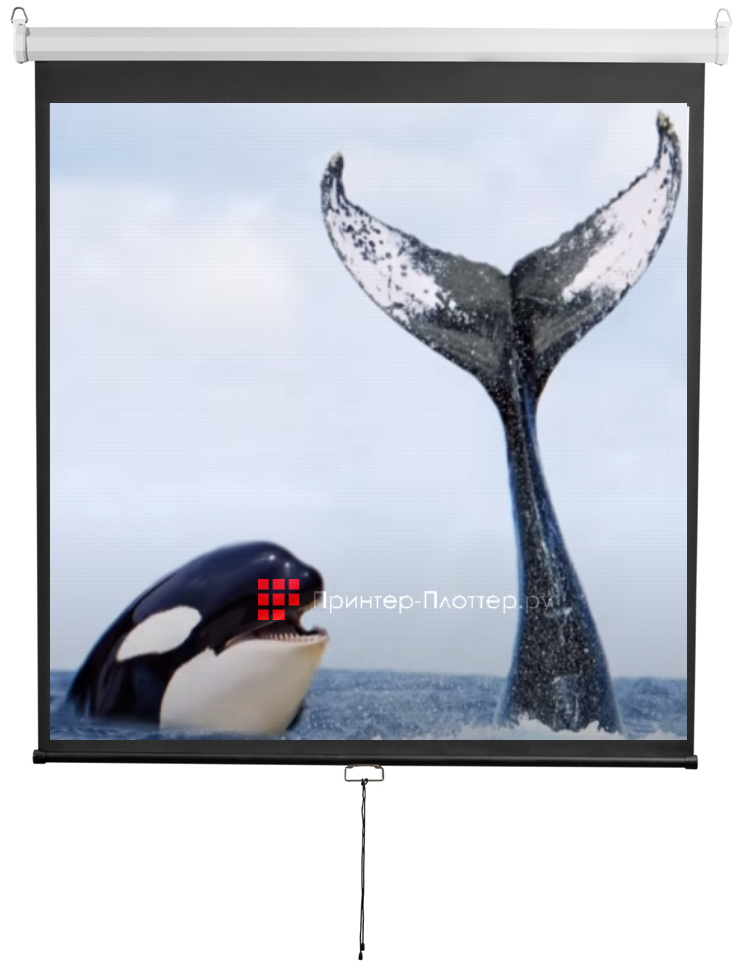 DIGIS DSOD-16908 Optimal-D 16:9 150