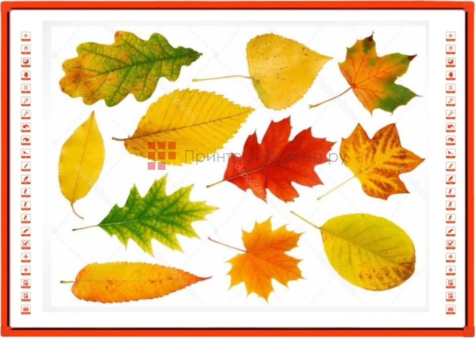 EdBoard ED67IB. На выгодных условиях