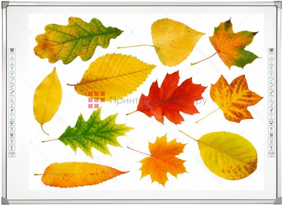 EdBoard ED88DV. Функции программного обеспечения