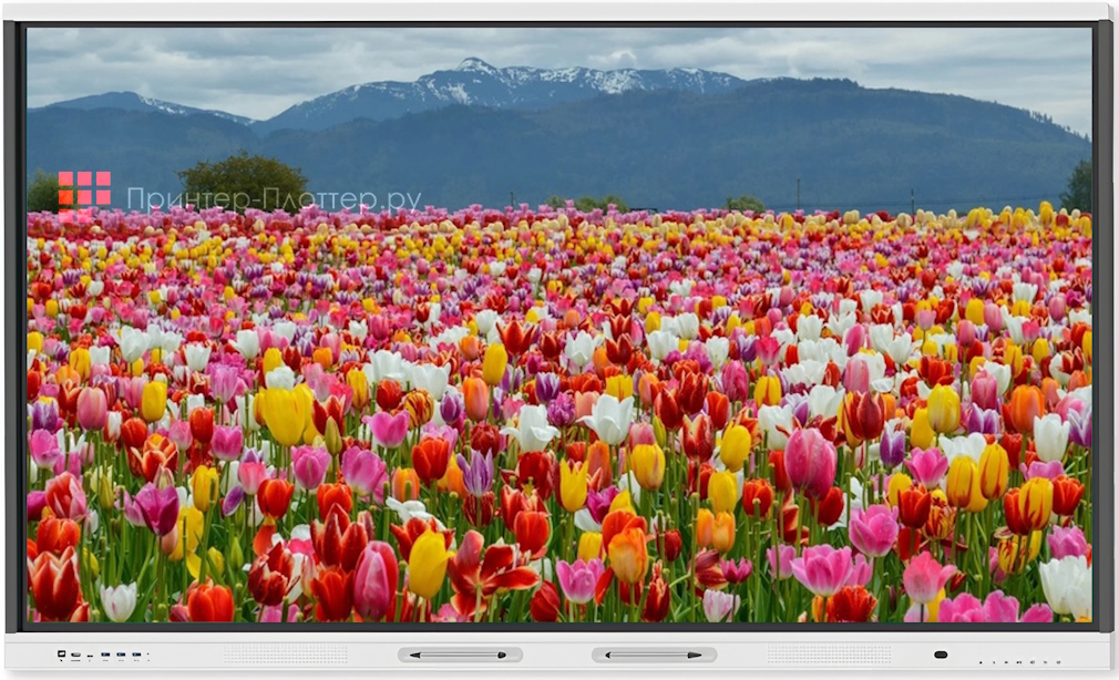 EdFlat Lite EDF86LT01