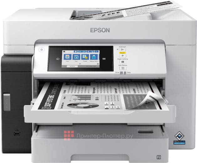 Epson M15180. На выгодных условиях