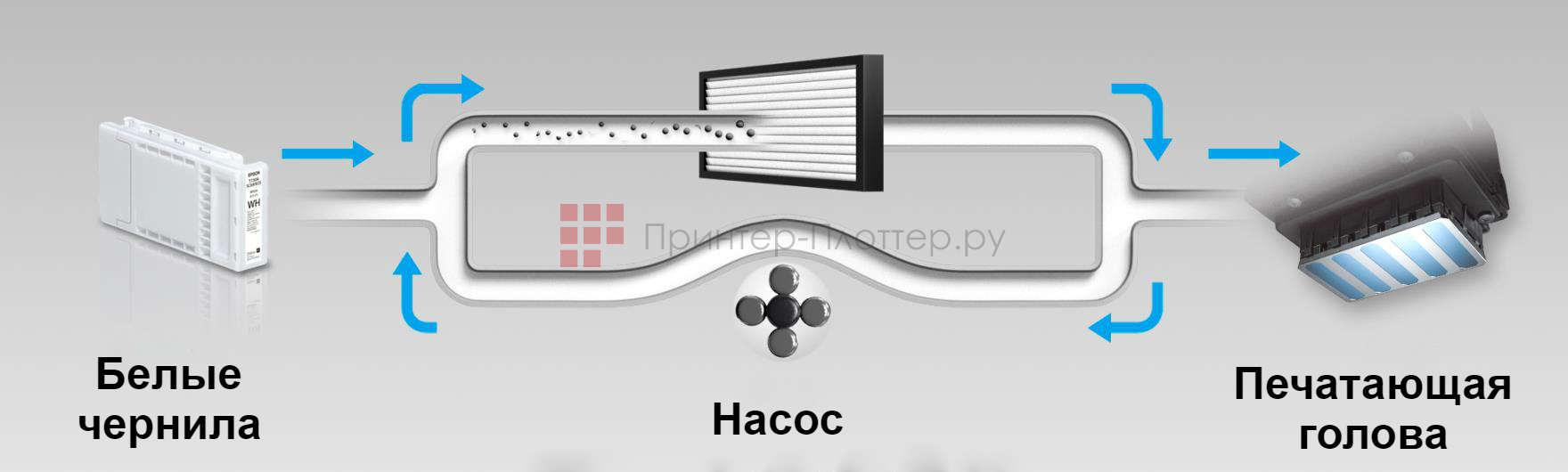 Epson SureColor SC-F2100 (5C). Циркуляция белых чернил