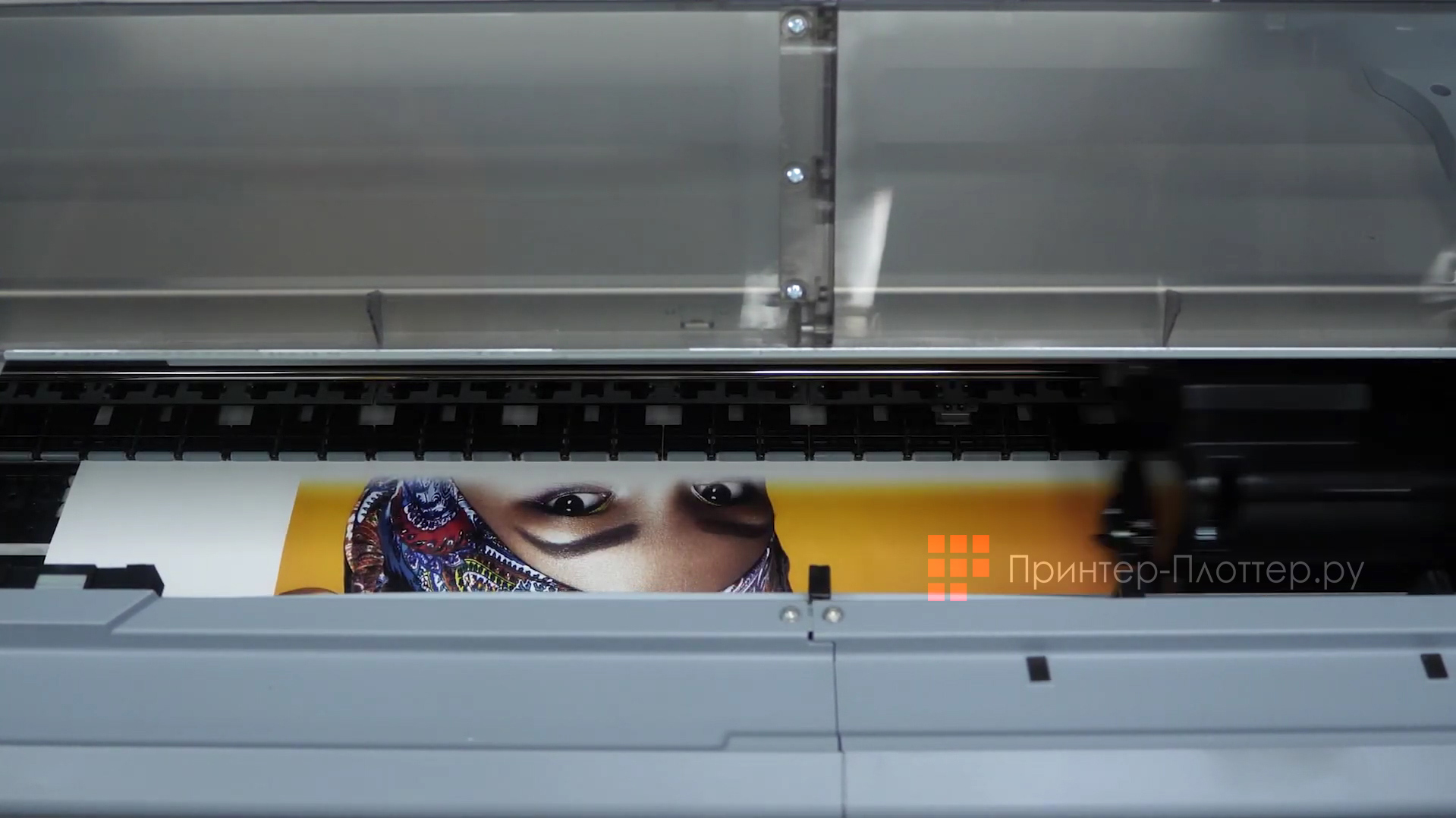 Epson SureColor SC-F6300 (nK). Печатающая головка