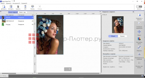 Epson SureColor SC-F7200 (HDK). РИП Epson Edge Print
