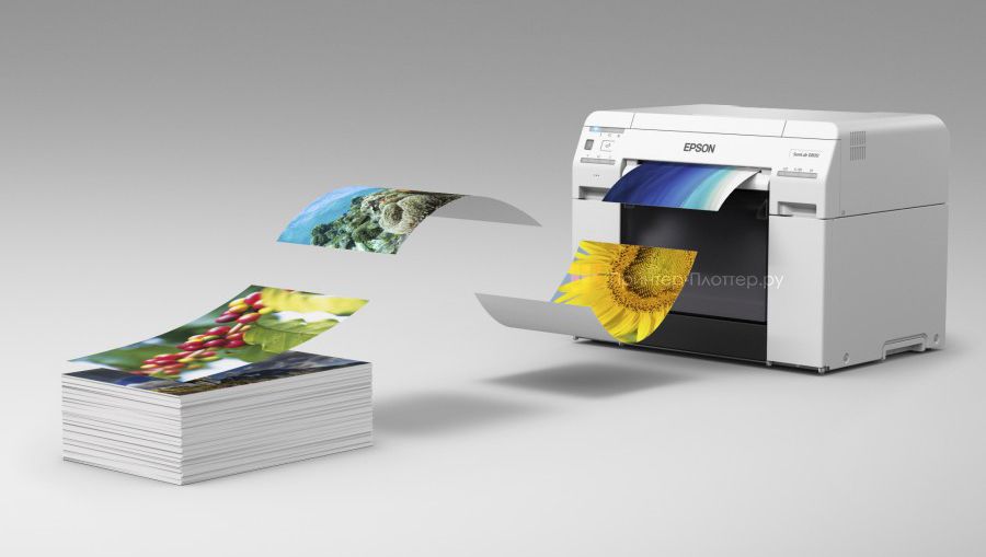 Минифотолаборатория Epson SureLab SL-D800