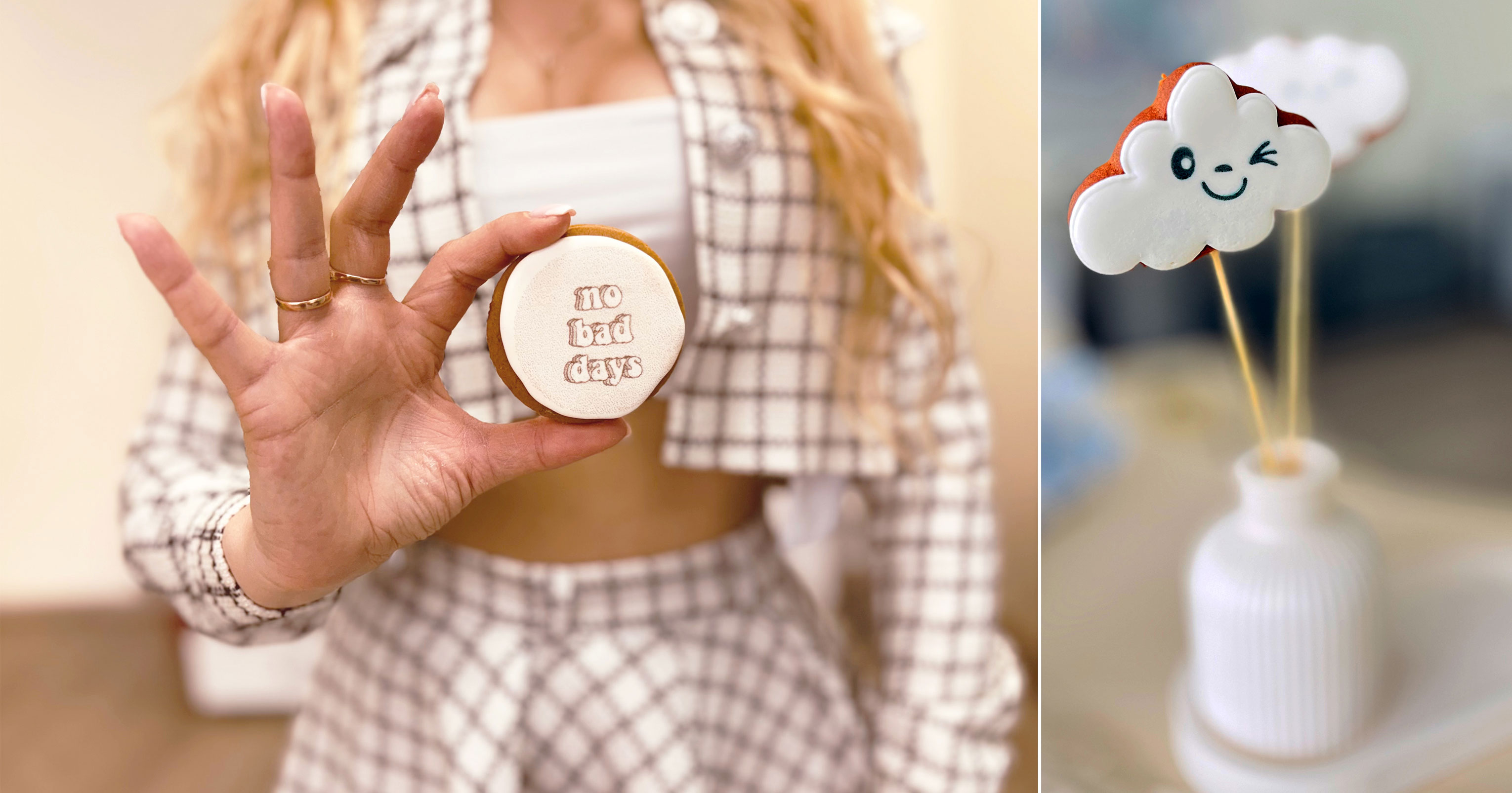 Evebot Fantasia Color. Простота в обращении