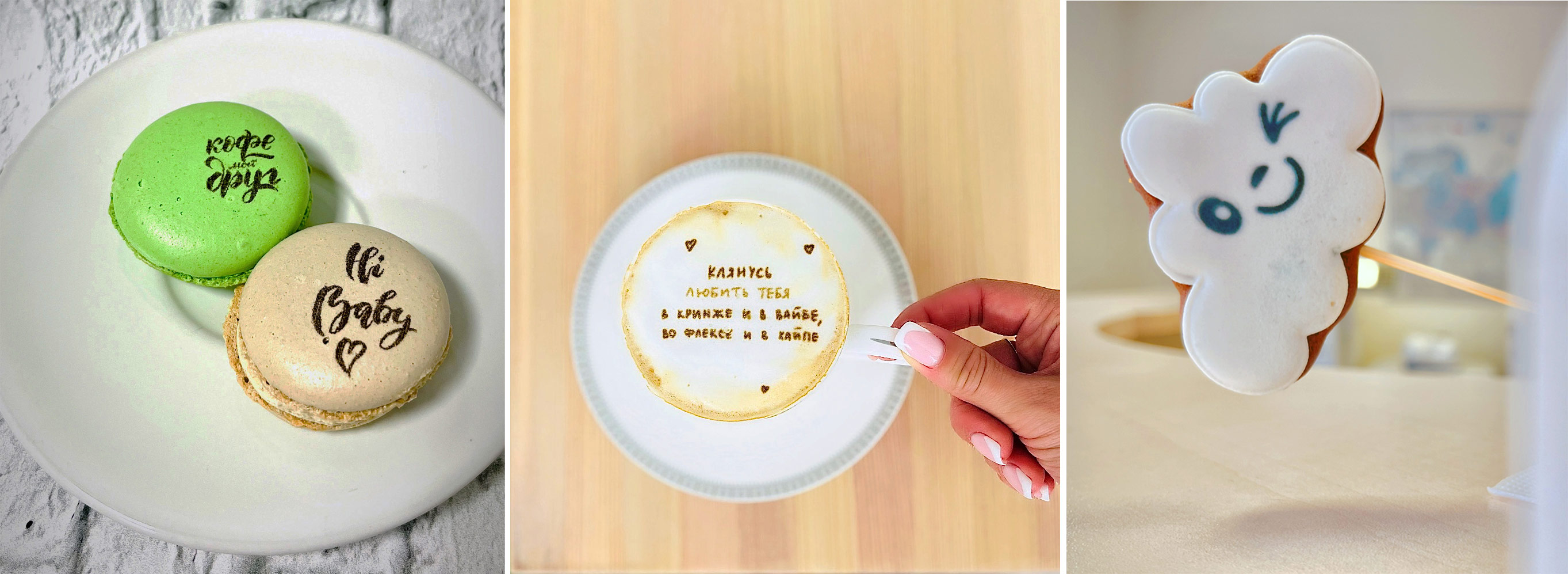 Evebot Fantasia Pro. Применение