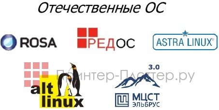 F+ imaging P40dn6. Отечественные ОС