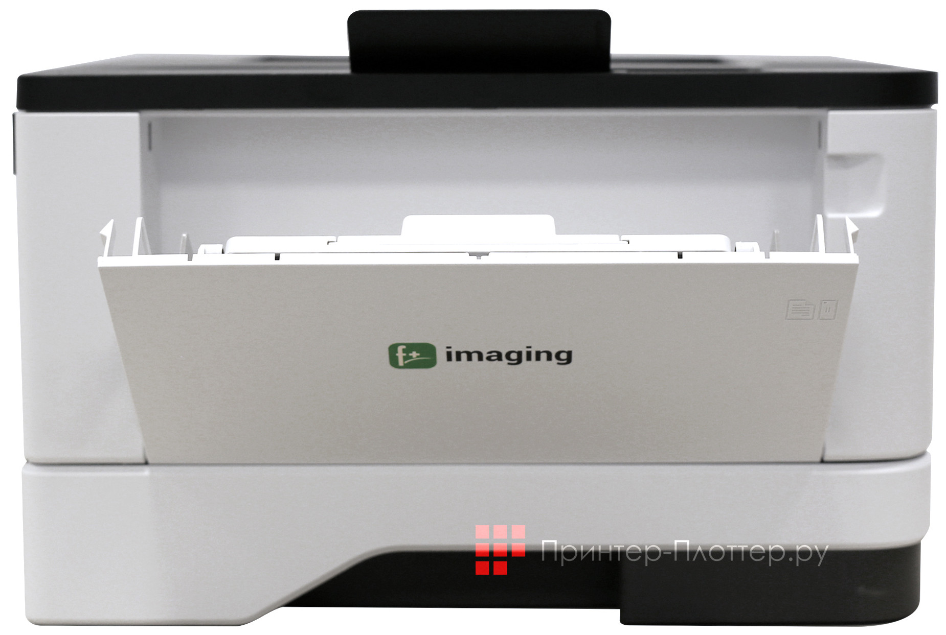 F+ imaging P40dn6551