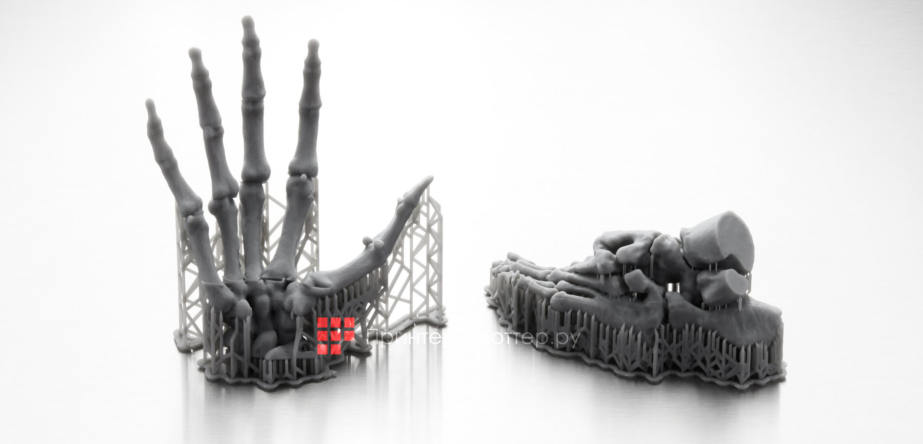 Formlabs Form 3B. Анатомические модели