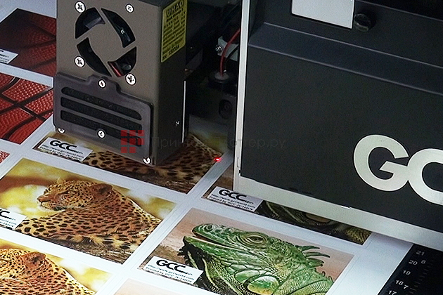 GCC JV-240UV. Автоматическая калибровка носителя