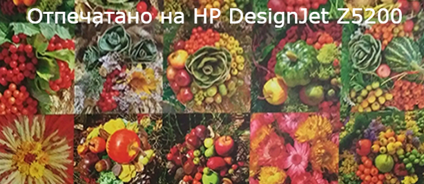 HP DesignJet Z5200ps PhotoPrinter PostScript 1118 мм. Качество и долговечность