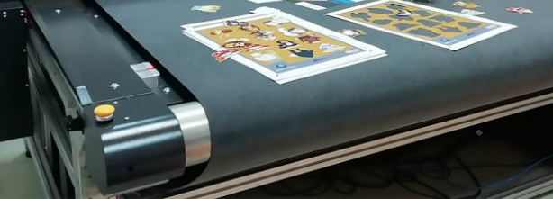 iECHO Conveyor System TK3S 2521 iECHO Conveyor System TK3S 2521