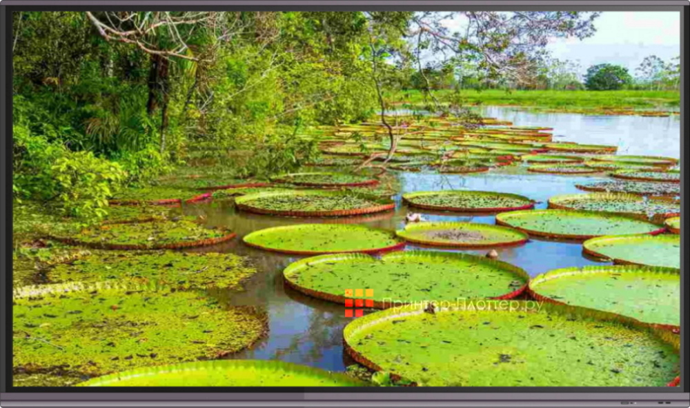 InFocus JTouch INF9855. Настоящее разрешение 4K