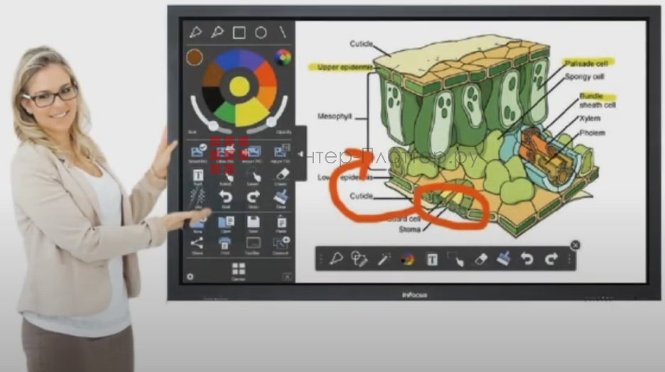 InFocus JTouch D133. Универсальность