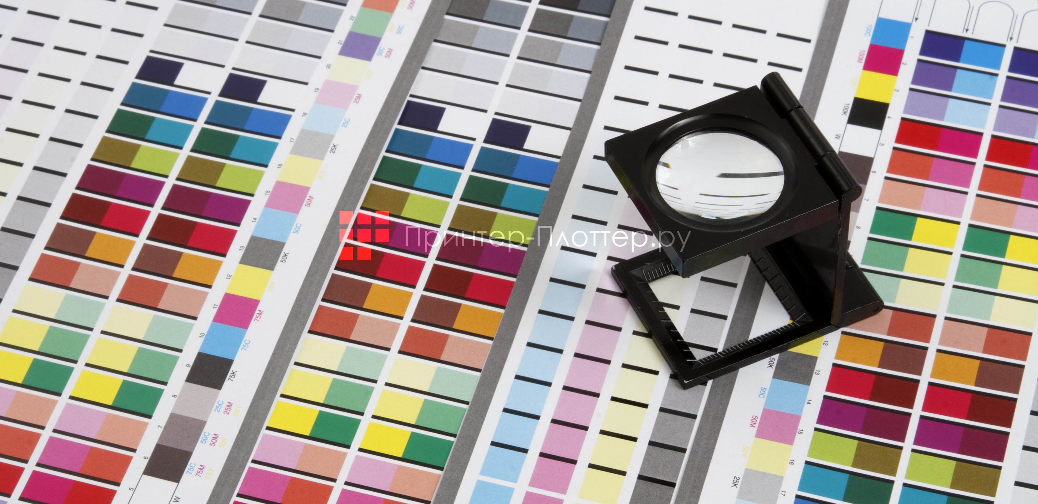 INTEC ColorSplash CS5600. Управление плашечным цветом