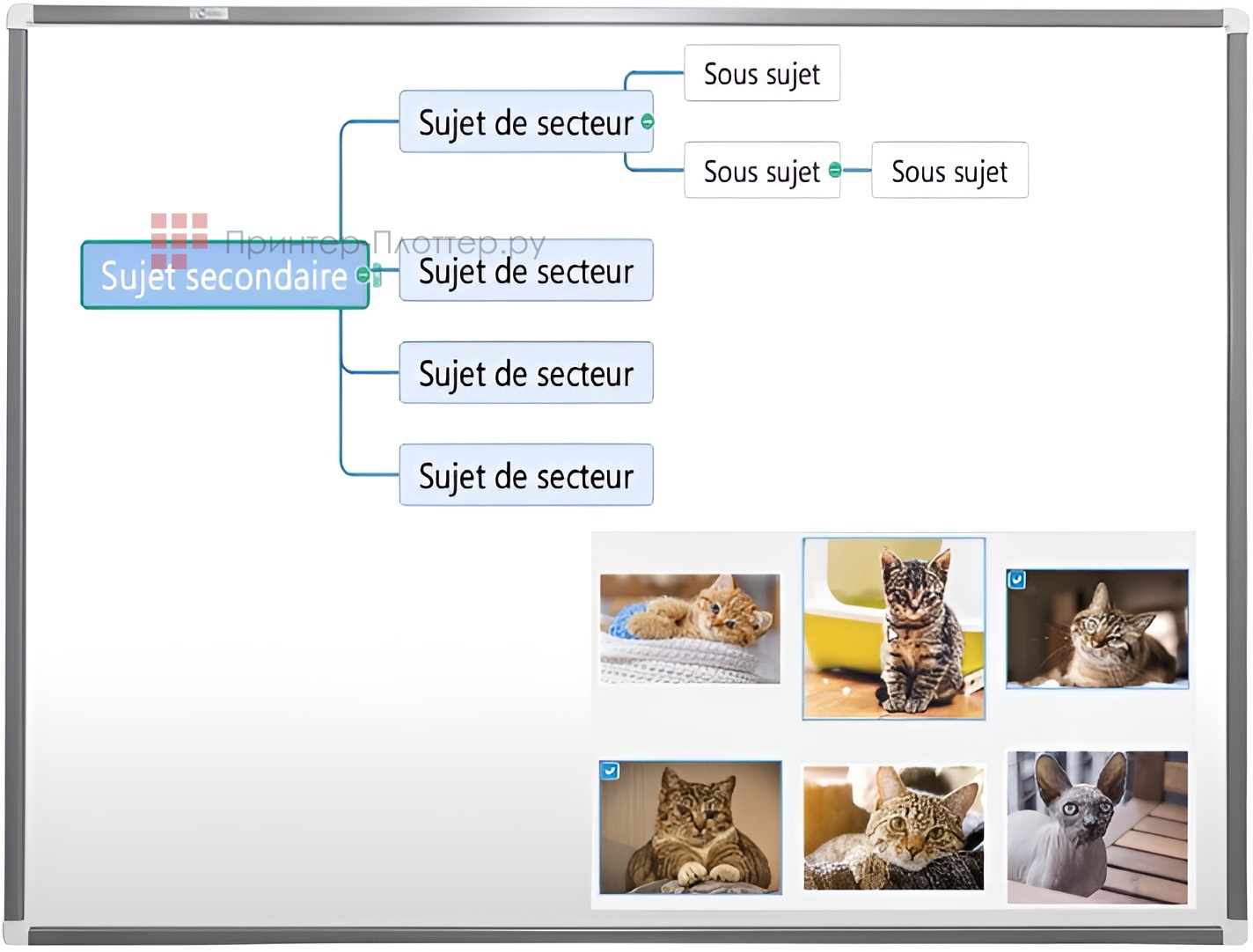 Exell EWB9140 + BenQ MW855UST+. Применение