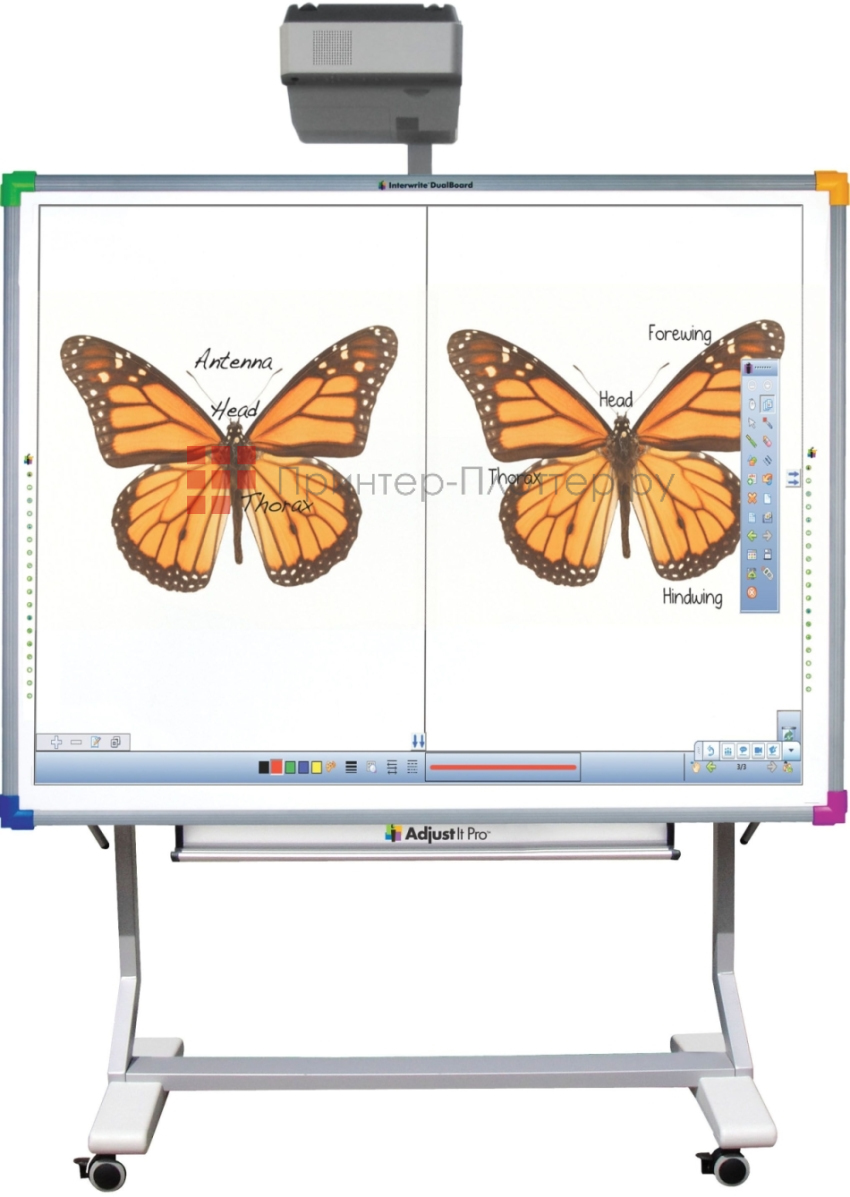 Interwrite DualBoard 1289. Принципы работы электромагнитной интерактивной доски