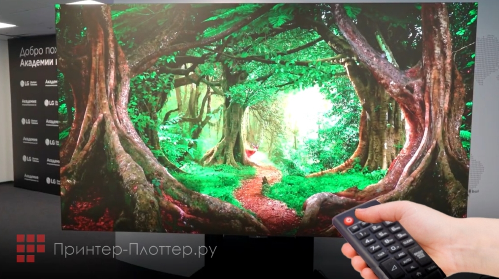 All-in-One LG LAEC015-GN2. пульт LG Magic Remote