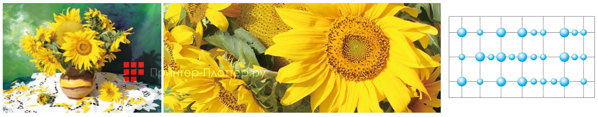 LINEA Sol B300 1601. Печать с переменной каплей