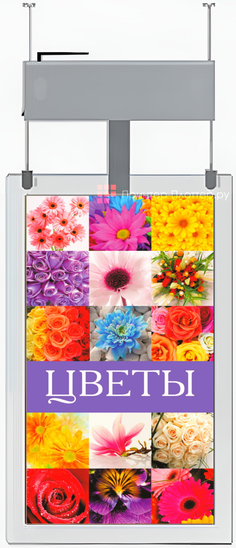 Lumien Clear LCAD5501FHD