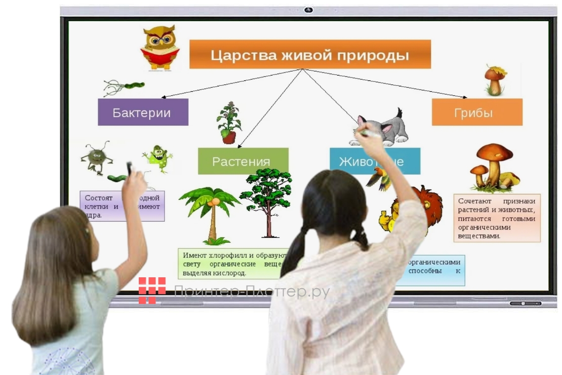 Lumien LMP7504EL. Превосходная точность сенсора